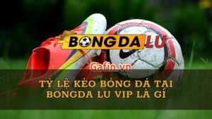 ty-le-keo-bong-da-bongda-lu-vip-la-gi-
